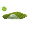 agn-vestacka-trava-spiny-38-200x300