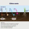 Gronamic Preseeder 8-12-8 organo-mineralno đubrivo za setvu i dosejavanje trave