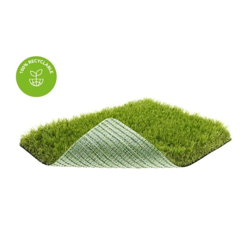 agn-vestacka-trava-spiny-38-200x300