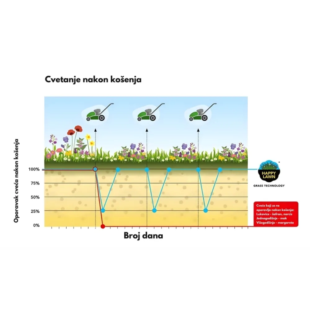Barenbrug Happy Lawn smeša semena trave i cveća 0.5kg