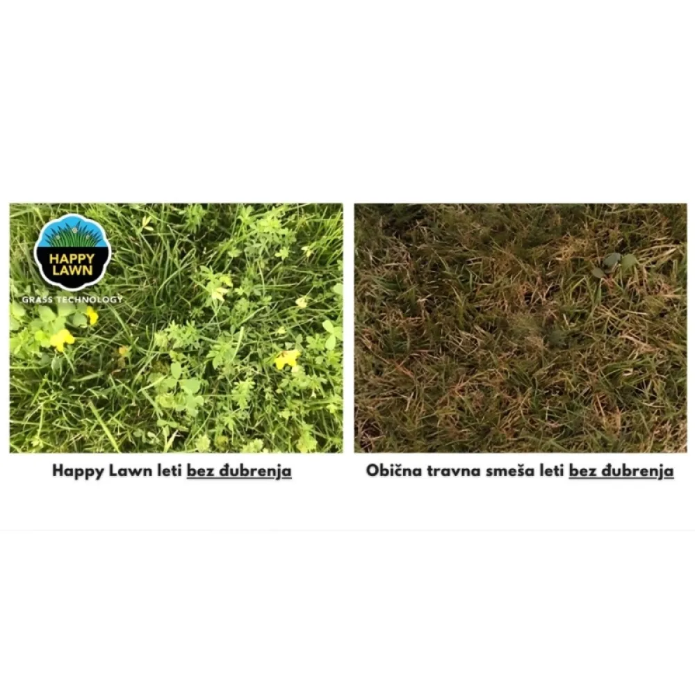 Barenbrug Happy Lawn smeša semena trave i cveća 0.5kg