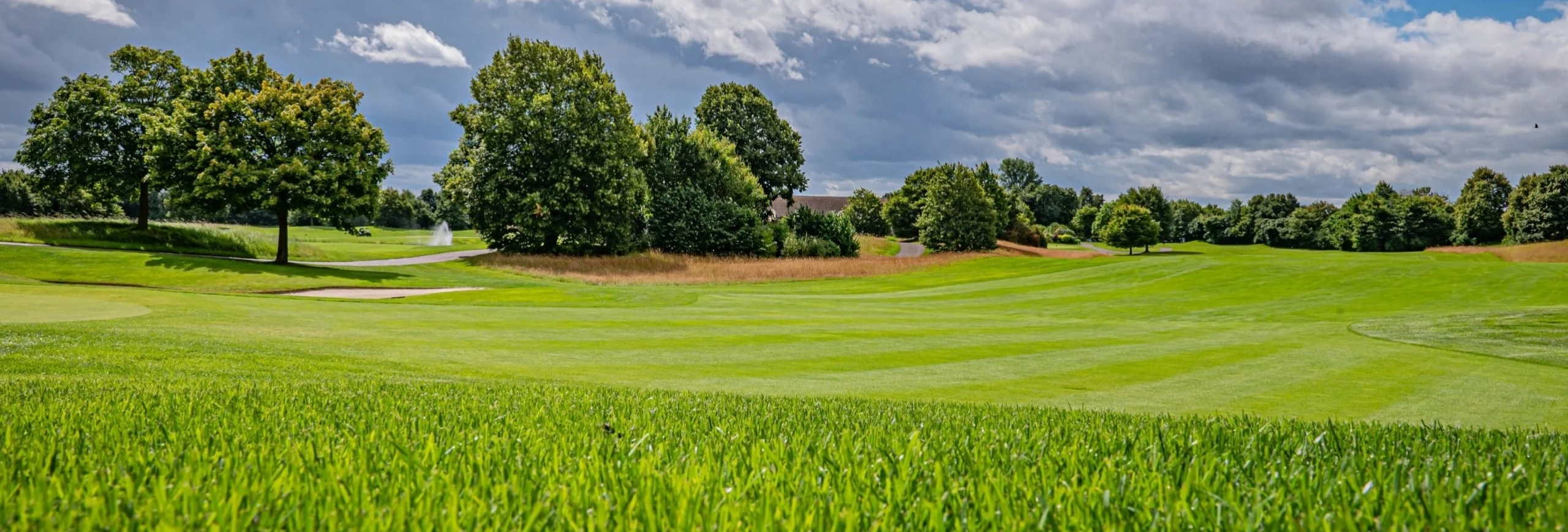 Zdravi travnjak nakon primene Sierraform GT All Season