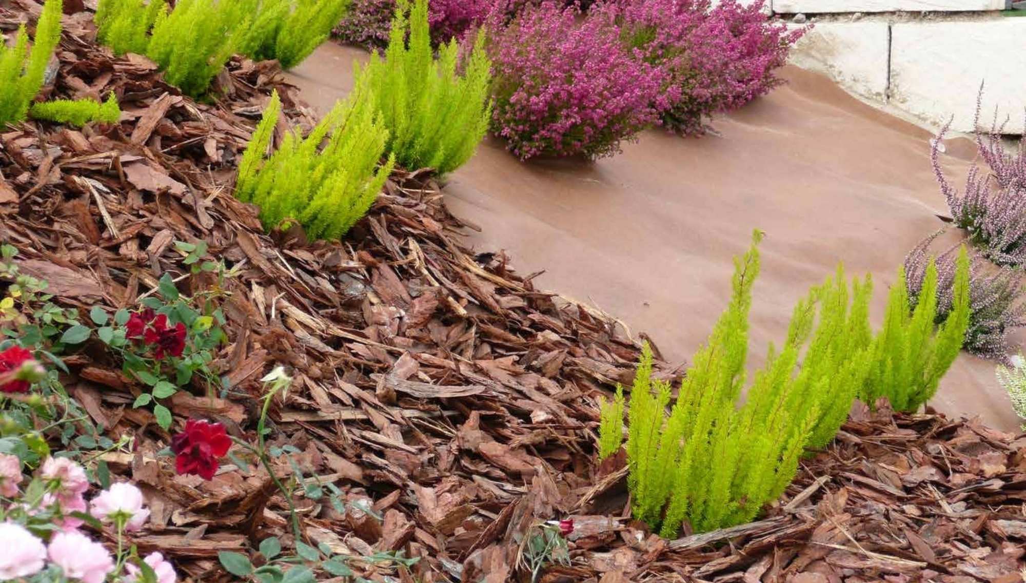 Dupont Plantex Gold agrotekstil prostirka protiv korova postavljena ispod malča