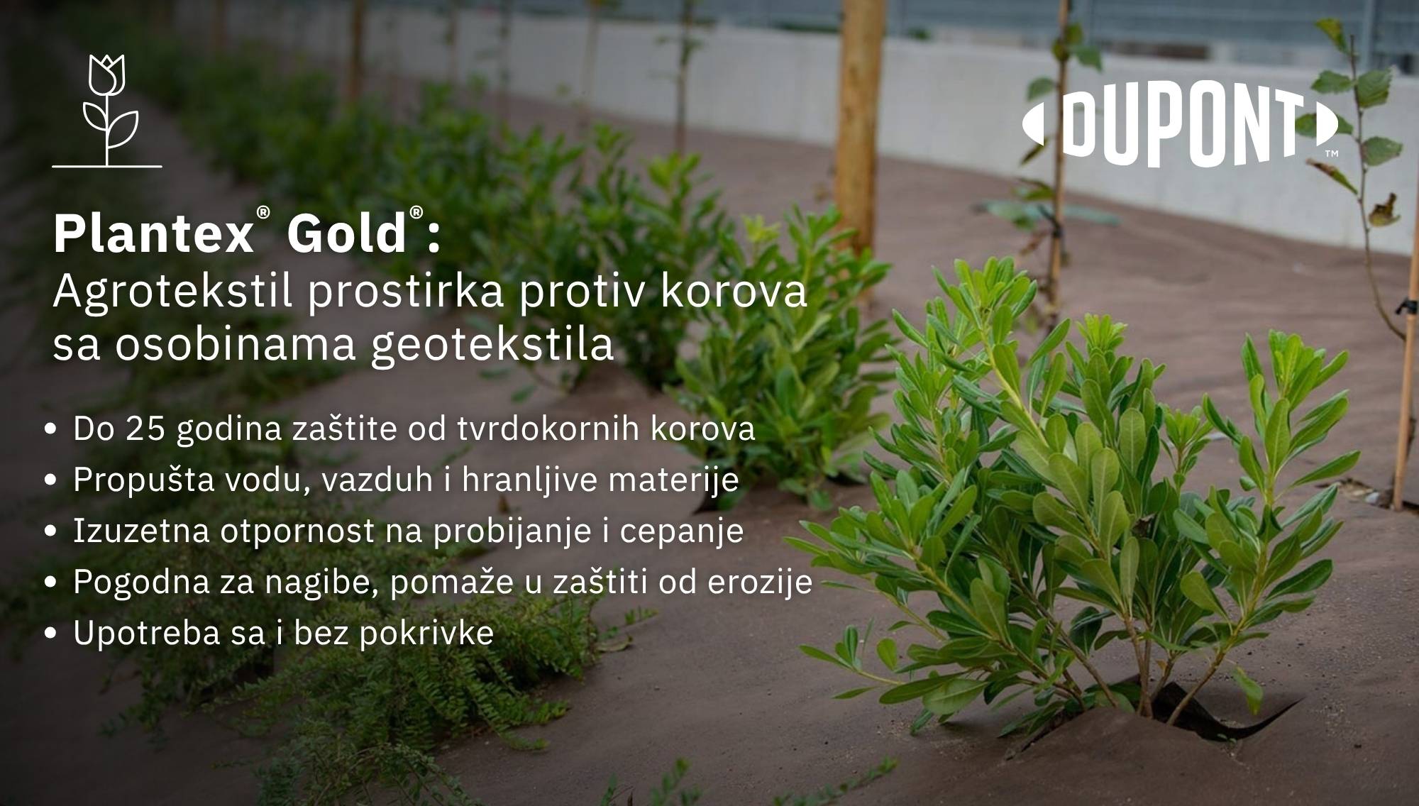 DuPont Plantex Gold agrotekstil prostirka protiv korova sa osobinama geotekstila