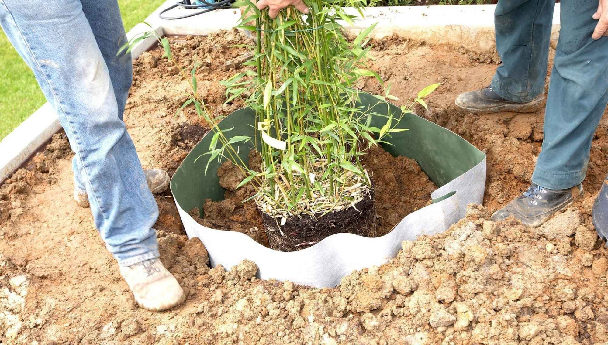 DuPont Plantex RootBarrier barijera za korenje kontrola bambusa u bašti