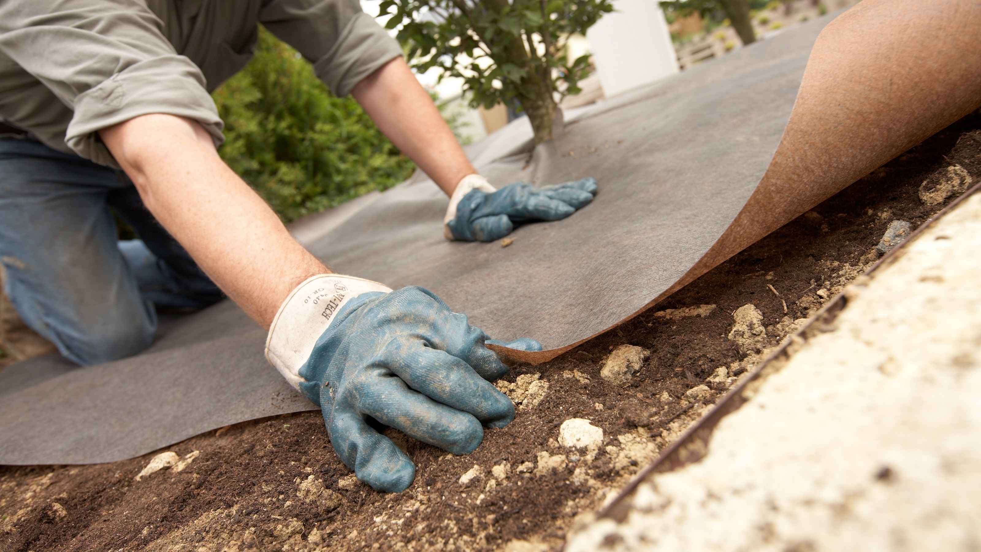 Postavljanje Dupont Plantex Gold agrotekstil prostirke protiv korova