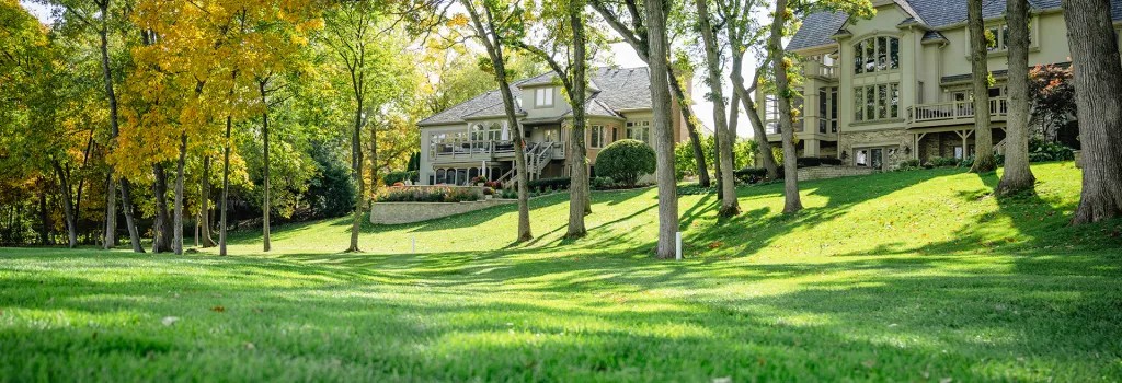 Shadow gust travnjak u parku