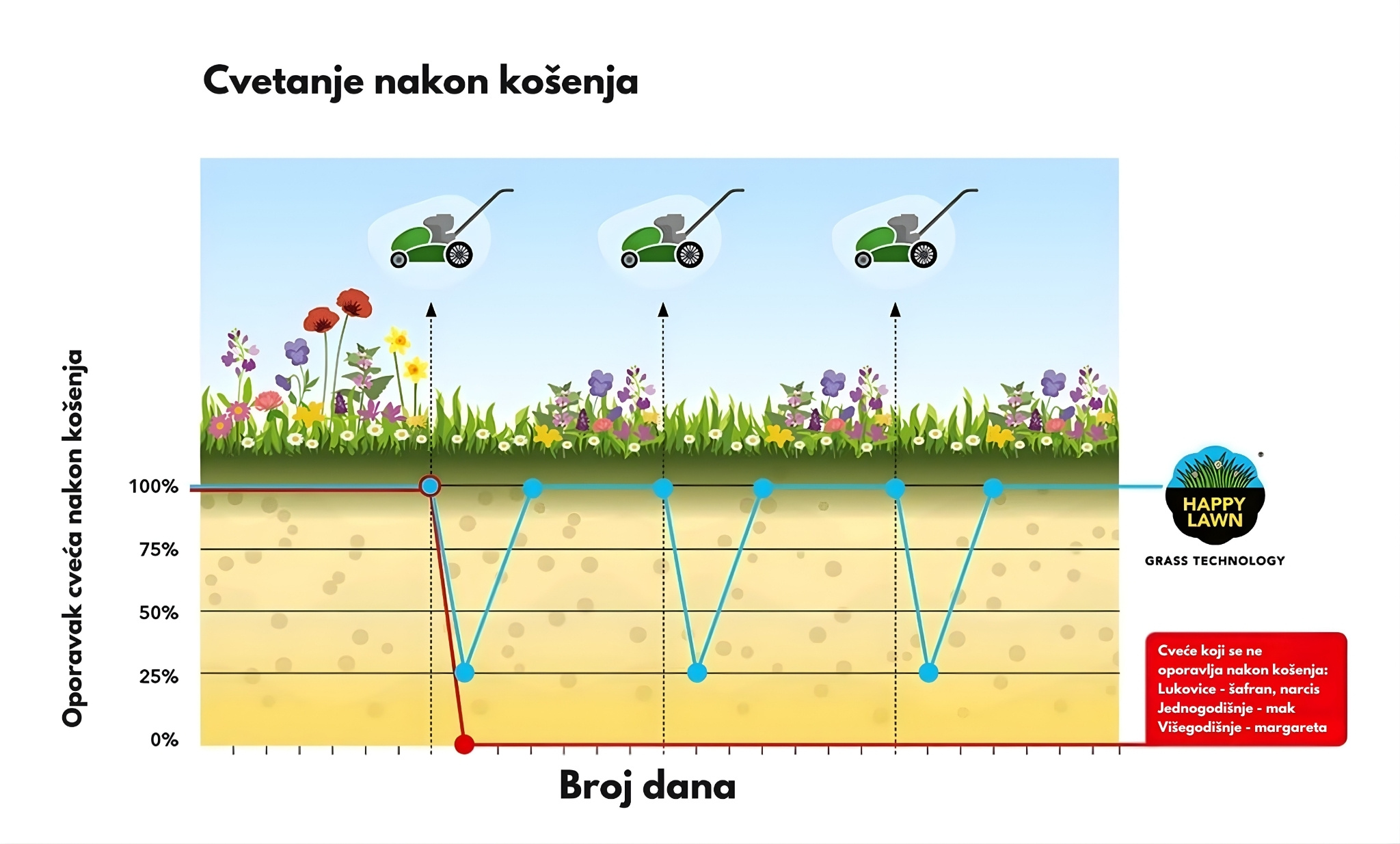 Happy Lawn® – oporavak cvetova nakon košenja