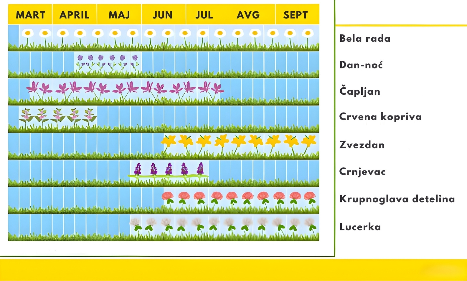 Happy Lawn® – raspored cvetanja cvetnica