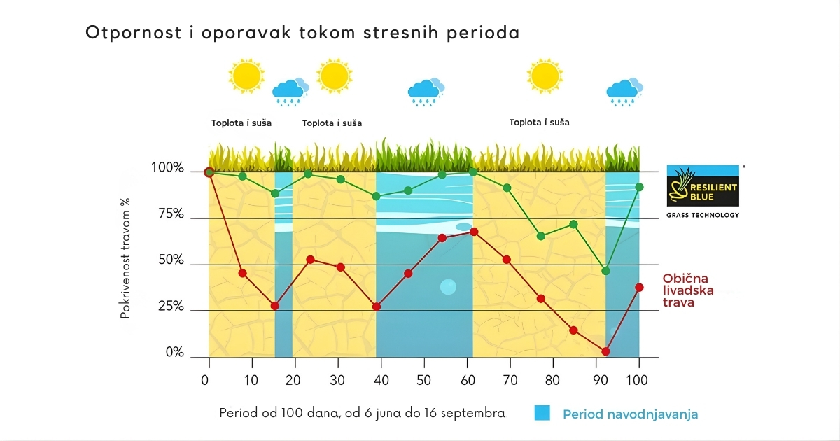 Grafikon koji prikazuje otpornost i oporavak travnjaka tokom stresnih perioda kod Resilient Blue tehnologije u poređenju sa običnom livadskom travom