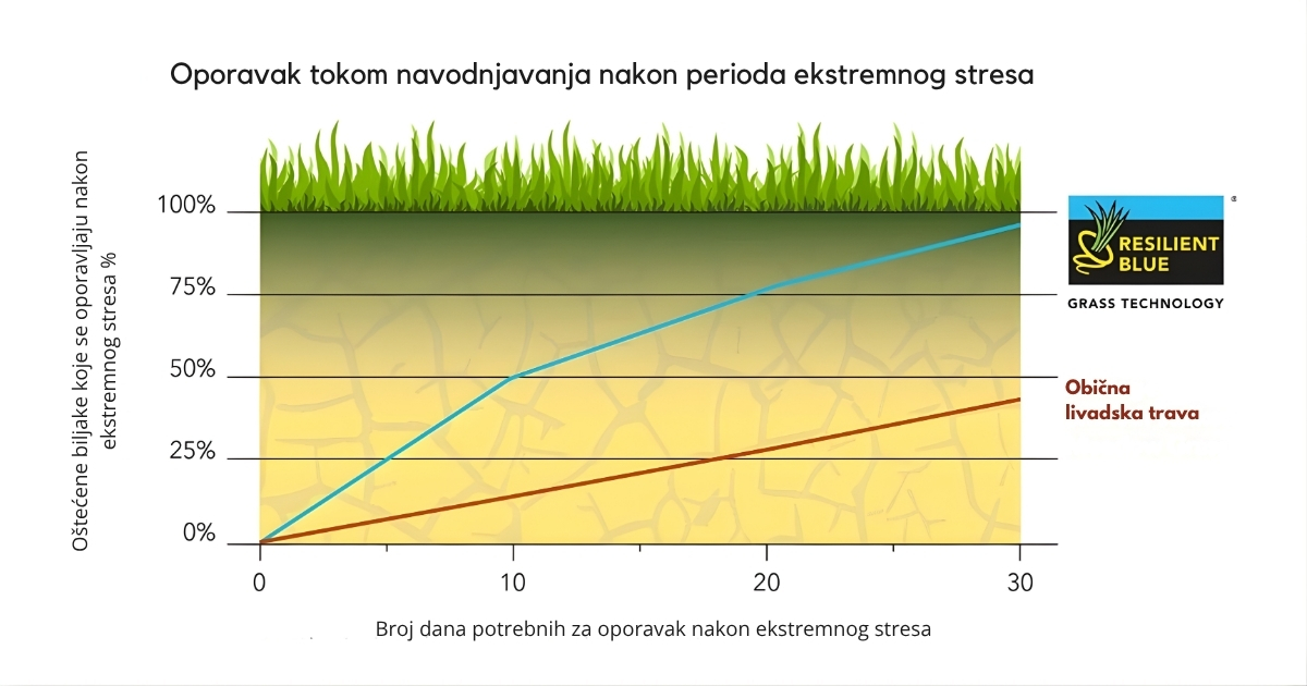 Resilient Blue® – Brzina oporavka nakon stresa